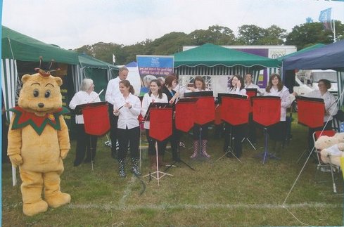 The New Forest Show, 29th July 2009